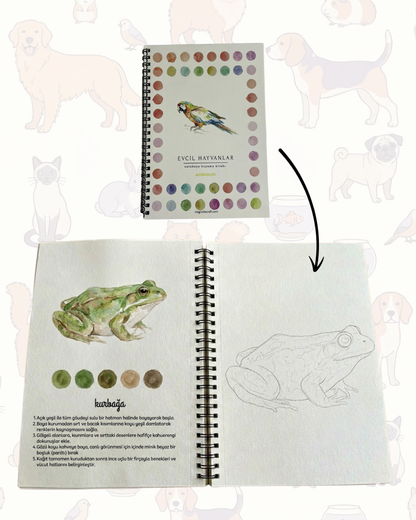 Rehberli Sulu Boya Boyama Kitapları