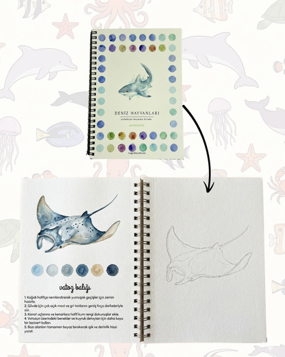 Rehberli Sulu Boya Boyama Kitapları