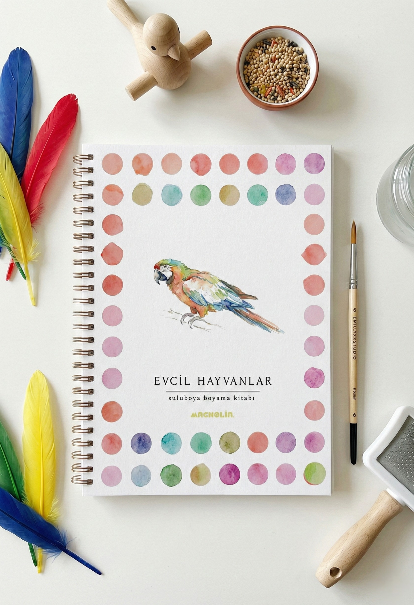 Rehberli Sulu Boya Boyama Kitapları